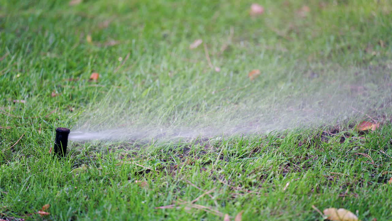 Close up of a water sprinkler in action, spraying water across grass and plants
