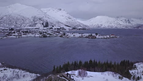 toma aérea sobre la gente que mira el paisaje en las islas lofoten, noruega