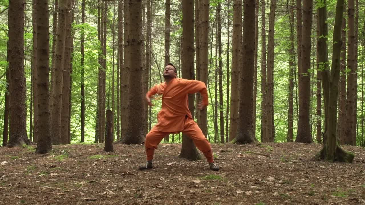 Black Belter Kung Fu Master Practicing In The Forest. - wide shot