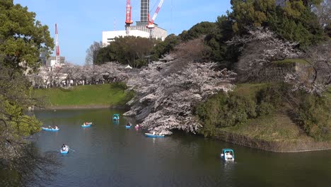 Pase-Lento-A-Través-Del-Hermoso-Foso-Chidorigafuchi-Con-Coloridos-Botes-De-Remos-En-Un-Día-De-Cielo-Azul-Claro