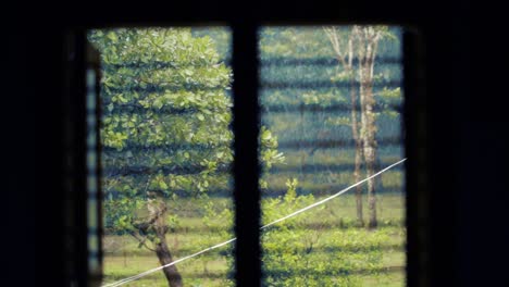 Admiring rainy day from inside house, looking out window