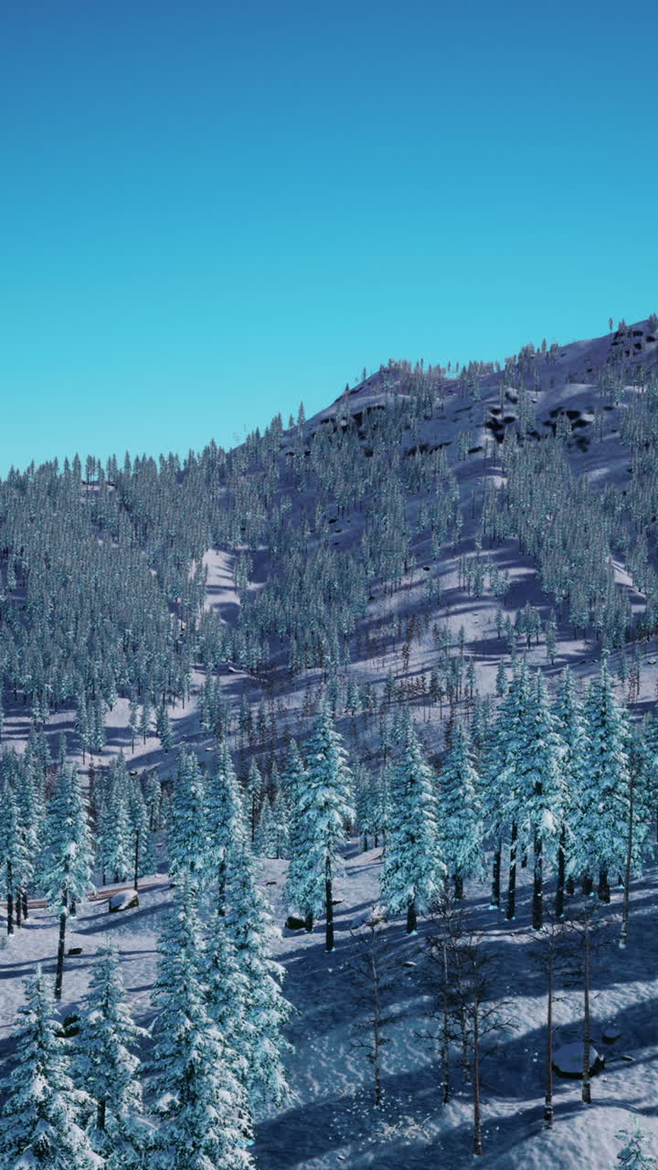 bosque de montaña nevado en invierno