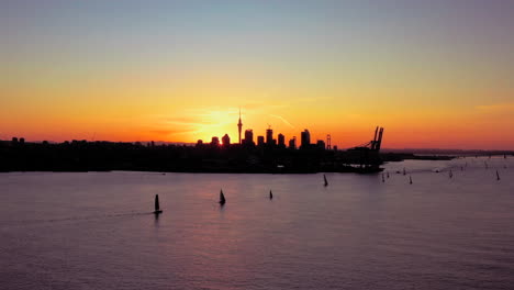 wide aerial golden sunset cityscape of auckland city and sailboat regatta