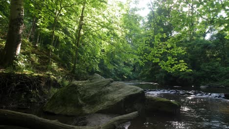 Nature-stream-rock-and-path