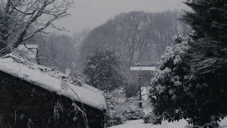 snow falling next to house and tree on winter's day