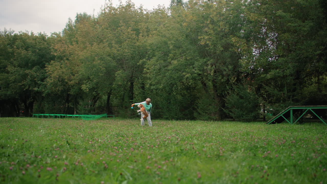 Dog owner playing fetch with dog on grassy field surrounded by tall trees, throwing ball for dog to chase while cars pass by in distance under cloudy sky, creating joyful active outdoor scene