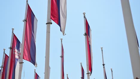 serbian flags flapping in hot summer breeze, 4k selective focus