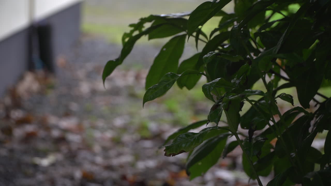 Empty Dorm Room Student, Hostel, Asylum seeker's Accommodation