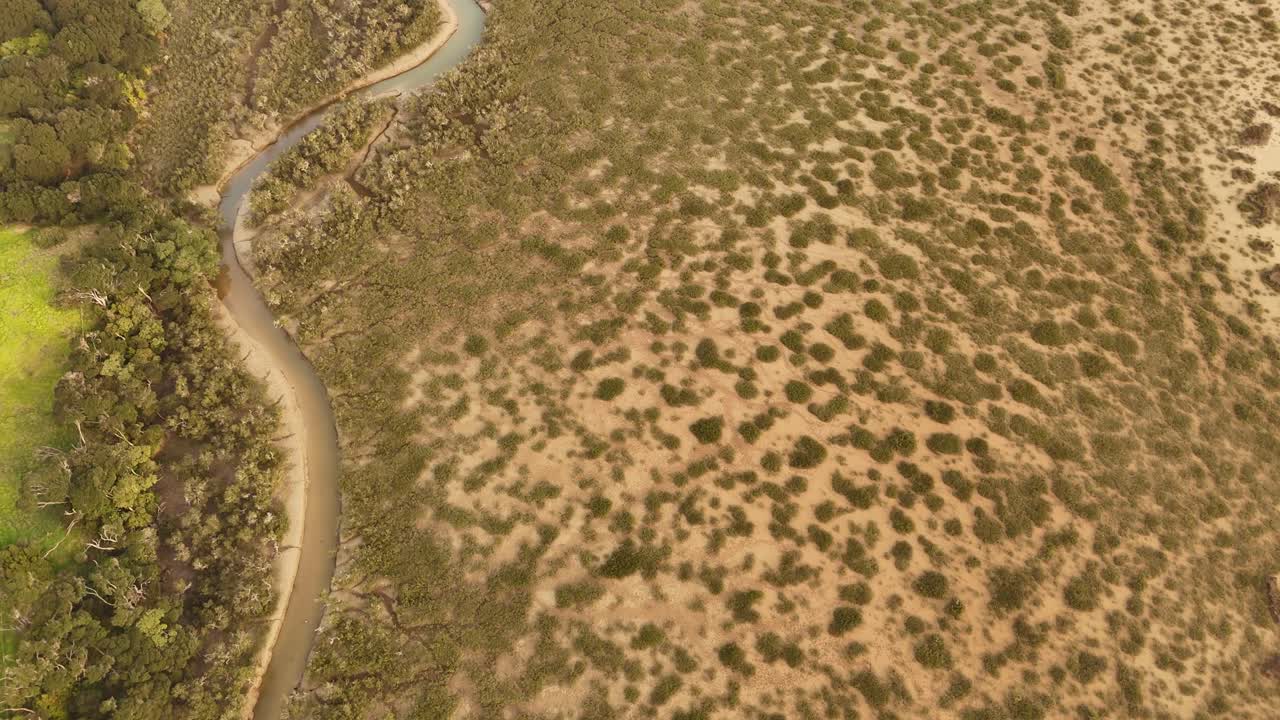 Coastal estuary and wetland on Waiheke Island, winding creek separates lush green forest from marshland. New Zealand. Aerial top-down view