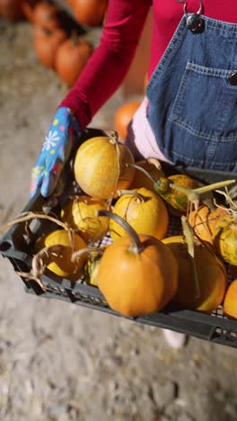 mujer sosteniendo una caja de calabazas