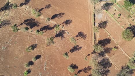 drone view of the rural kenya