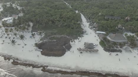 vacations in tulum beach, paradisiacal beach in tulum, sea taken by sargasso algae 6