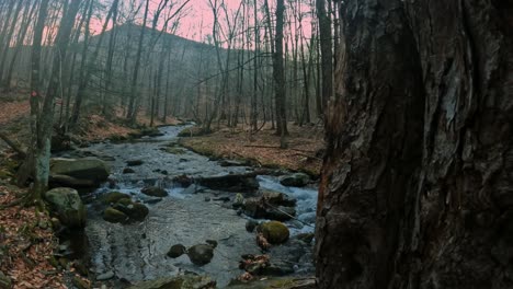 slow motion stream sunrise in the appalachian mountains during early spring