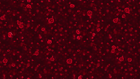 roses red flower loop tile falling background
