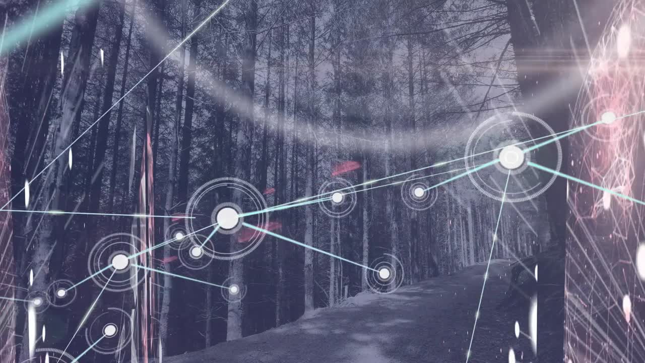 animación de la red de conexiones con iconos sobre el bosque