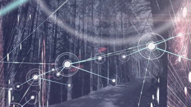 Animation of network of connections with icons over forest