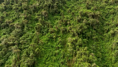 Vista-Aérea-De-Drones-Sobre-Las-Montañas-Y-La-Selva-Tropical-Alrededor-De-La-Ciudadela-De-Machu-Picchu