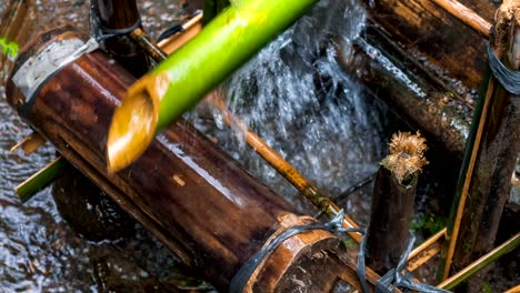 bamboo water irrigation, brings water from stream to plantation. close-up of bamboo delivering water. bali. asia