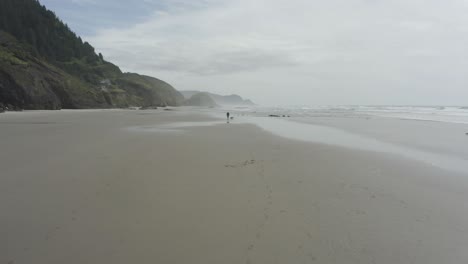 solitary person walking a dog on an oregon coast beach with a dog