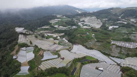 general landscape view of the brinchang district within the cameron highlands area of malaysia