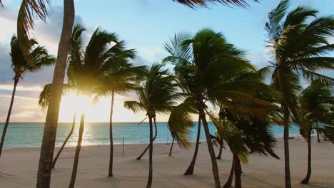 Turquoise-ocean,-white-sand-and-palm-trees-on-tropical-beach-in-Punta-Cana,-Dominican-Republic