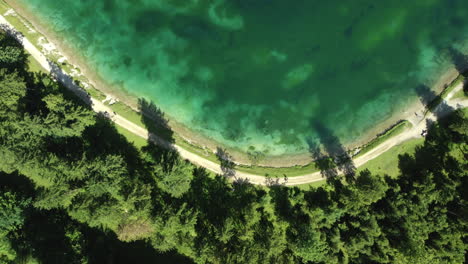 vista aérea de un lago rodeado de bosque