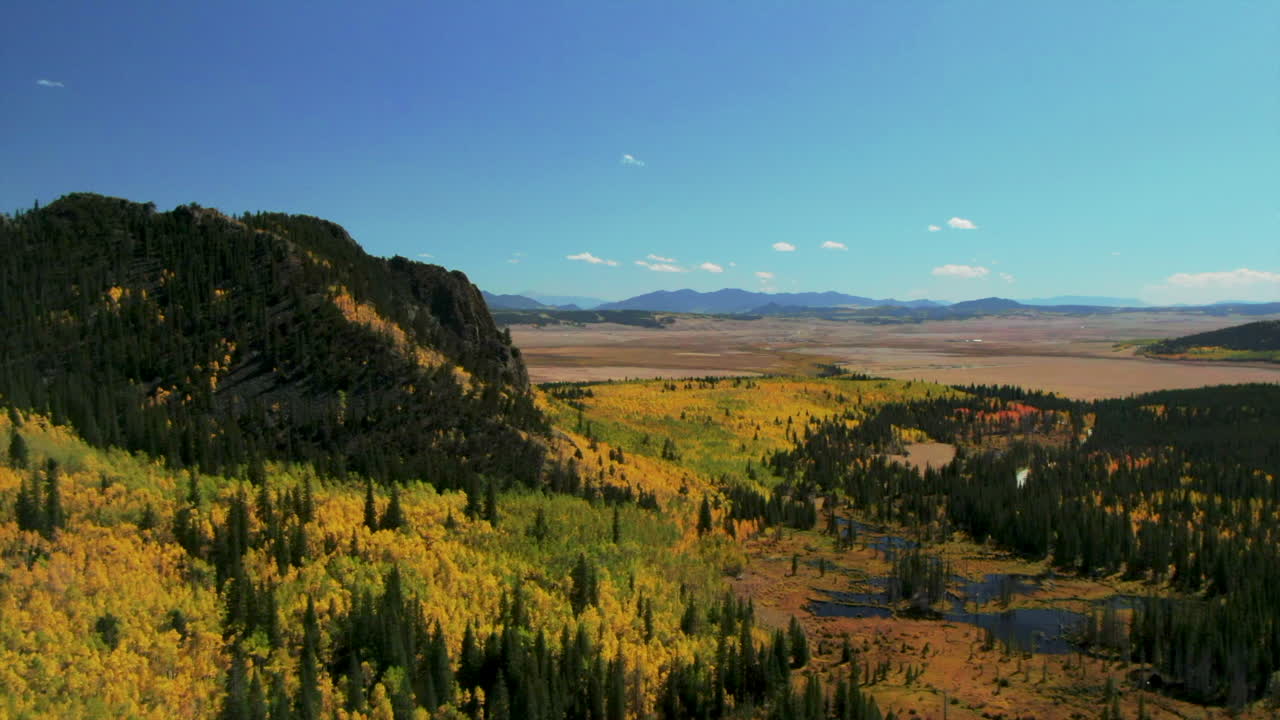 Fall colors in Colorado cinematic aerial drone Aspen trees yellow gold orange green turning of seasons autumn bluebird sunny afternoon stunning peaceful mountain lake Jefferson FairPlay up movement