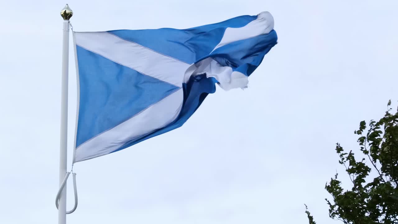 A blue and white flag waves energetically next to a leafy tree against a clear sky.