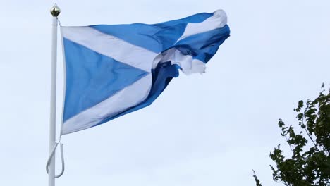 a blue and white flag waves energetically next to a leafy tree against a clear sky.