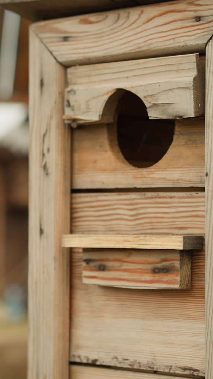 Wooden birdhouse in yard near old log house in medieval settlement. Young knight walks near nest box speaking to people in village yard