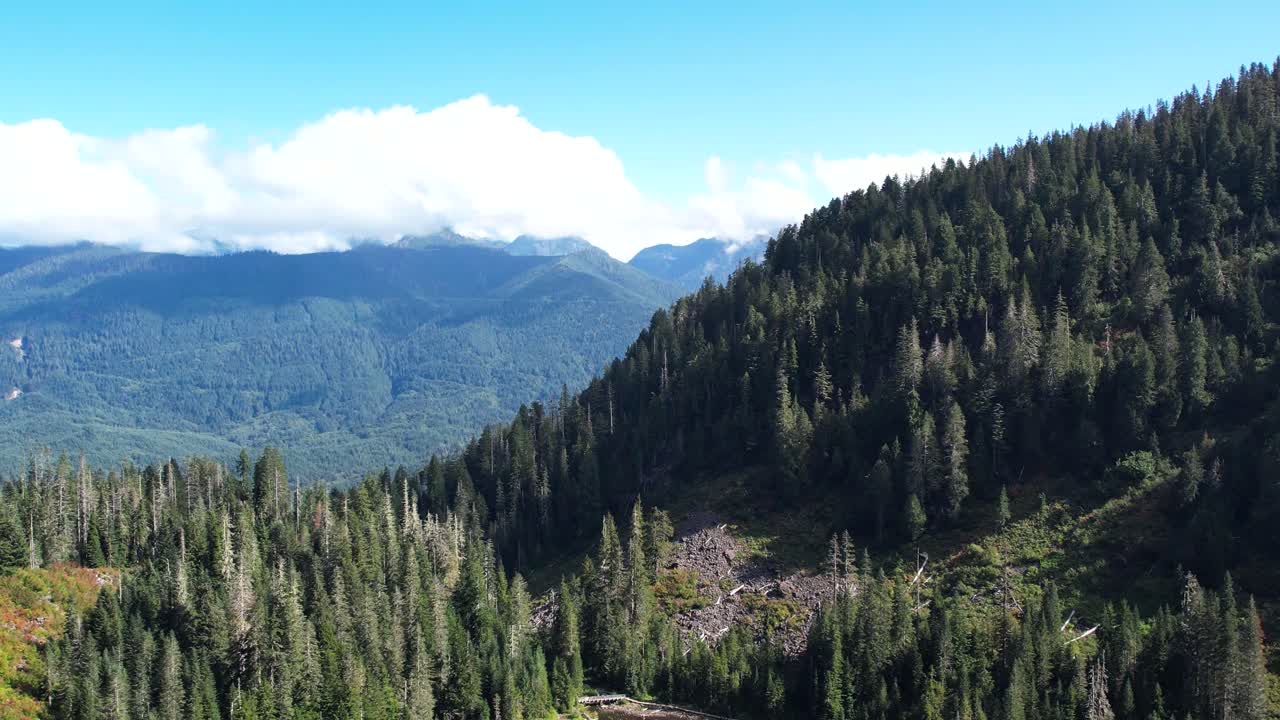 drone explora el bosque cerca del lago veintidós, washington