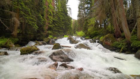 Río-De-Montaña-En-El-Bosque-En-Cámara-Lenta.-Hermoso-Paisaje-De-Vida-Silvestre.