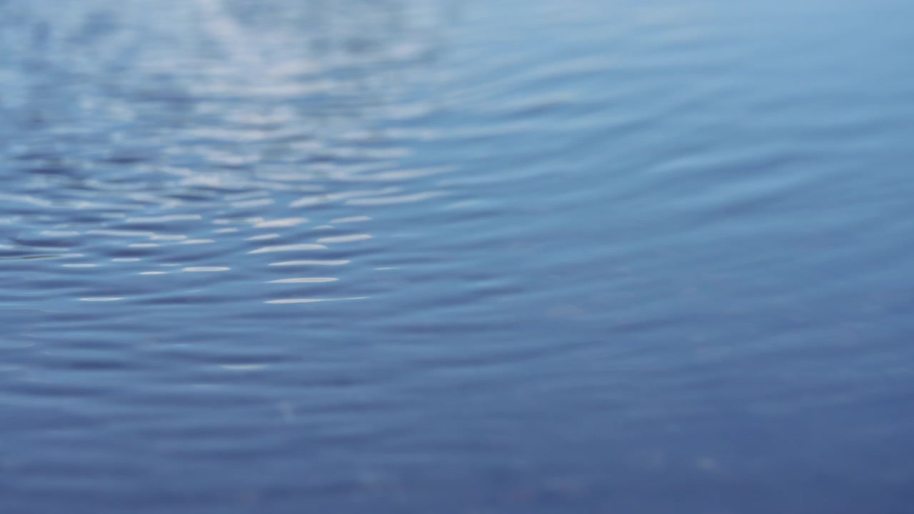 波紋が広がる青い水面