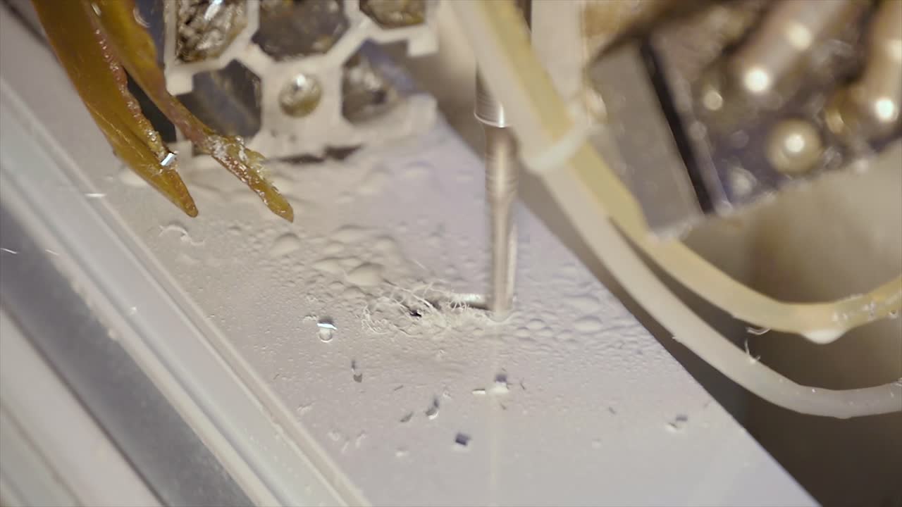 창문 프레임에 구을 는 것