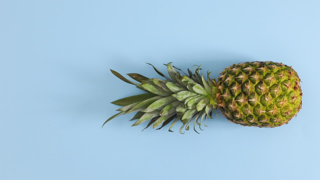 Fresh pineapple rolling in place on pastel blue theme. Stop motion