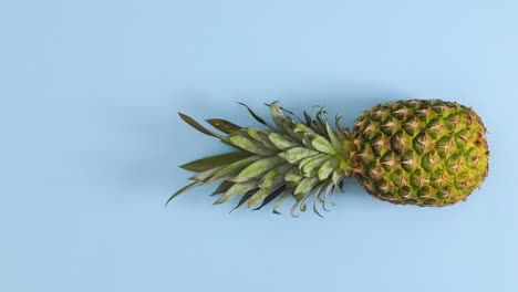 fresh pineapple rolling in place on pastel blue theme. stop motion
