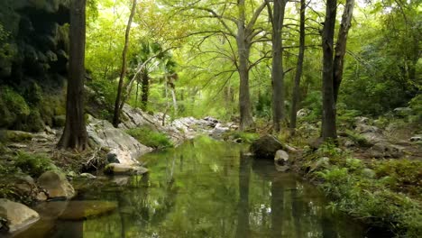 drone footage shot flying over a peaceful river in the middle of the lush forest surrounded with white rocks