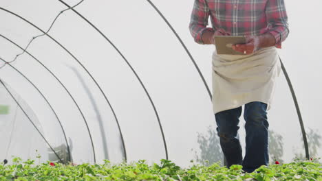 Mature-Man-Working-In-Garden-Center-Greenhouse-Holding-Digital-Tablet-And-Checking-Plants