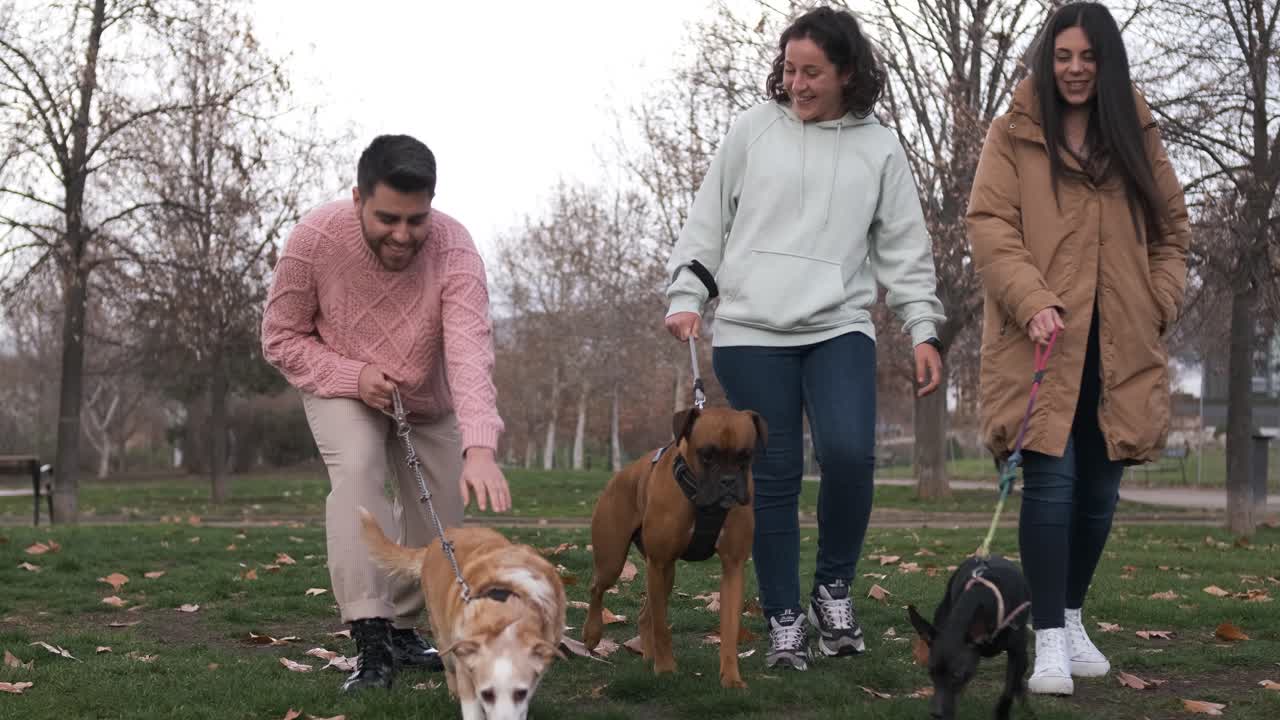 Group of friends talking and having fun while enjoying a walk in the park with their dogs.