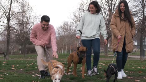 group of friends talking and having fun while enjoying a walk in the park with their dogs.