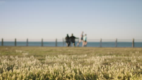 Blick-Auf-Das-Ruhige-Meer-Am-Meer.-Paar-Sitzt-Auf-Einer-Bank,-Leute-Joggen,-Trainieren,-Hund-Rennt-An-Der-Kamera-Vorbei