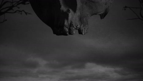 animation of halloween branches and skull over grey clouds