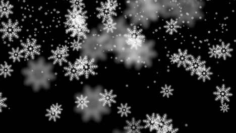 snow flakes on black backdrop christmas time