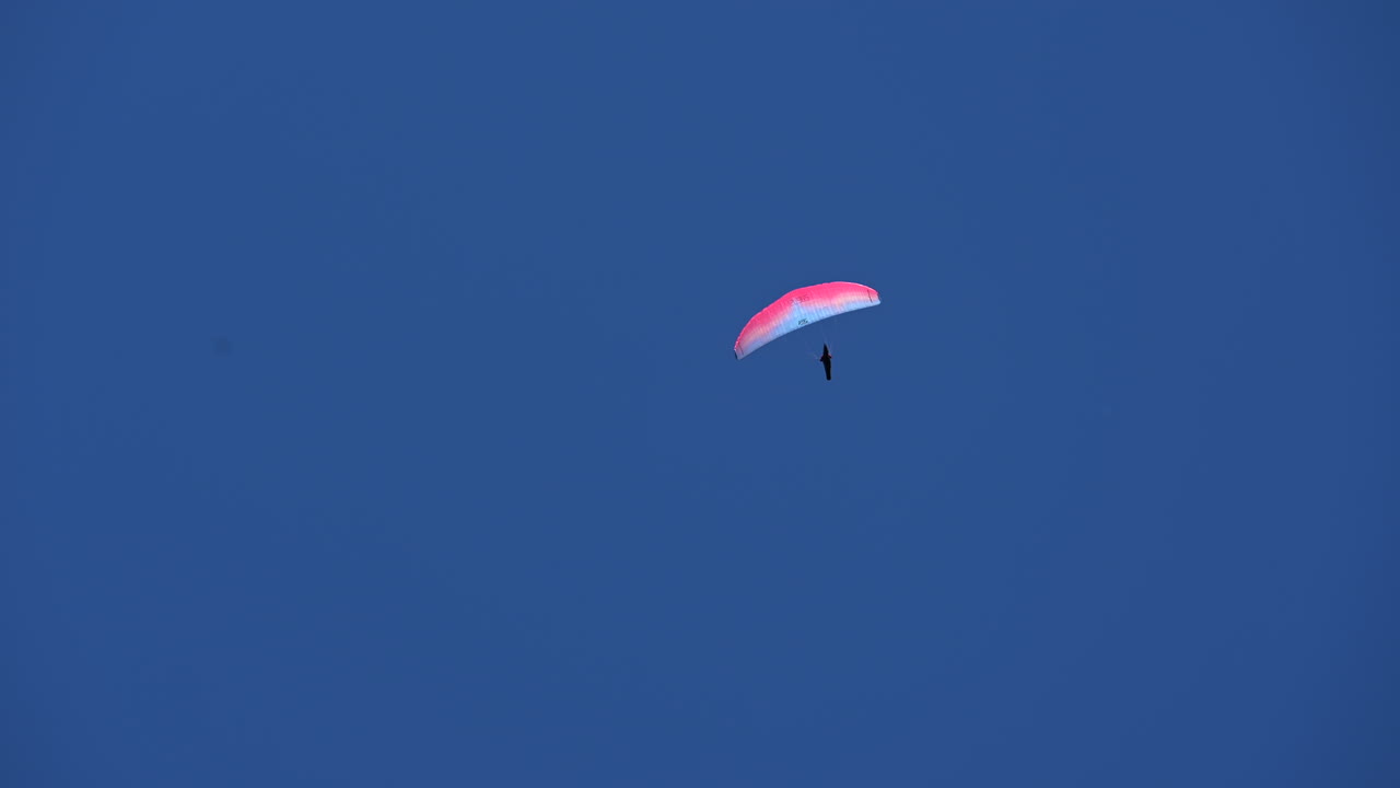 분홍색과 파란색 낙하산이 알프스, 스위스, 엥겔베르그 위의 밝은 푸른 하늘에서 홀로 날고 있다