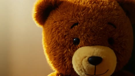 close-up of a brown teddy bear