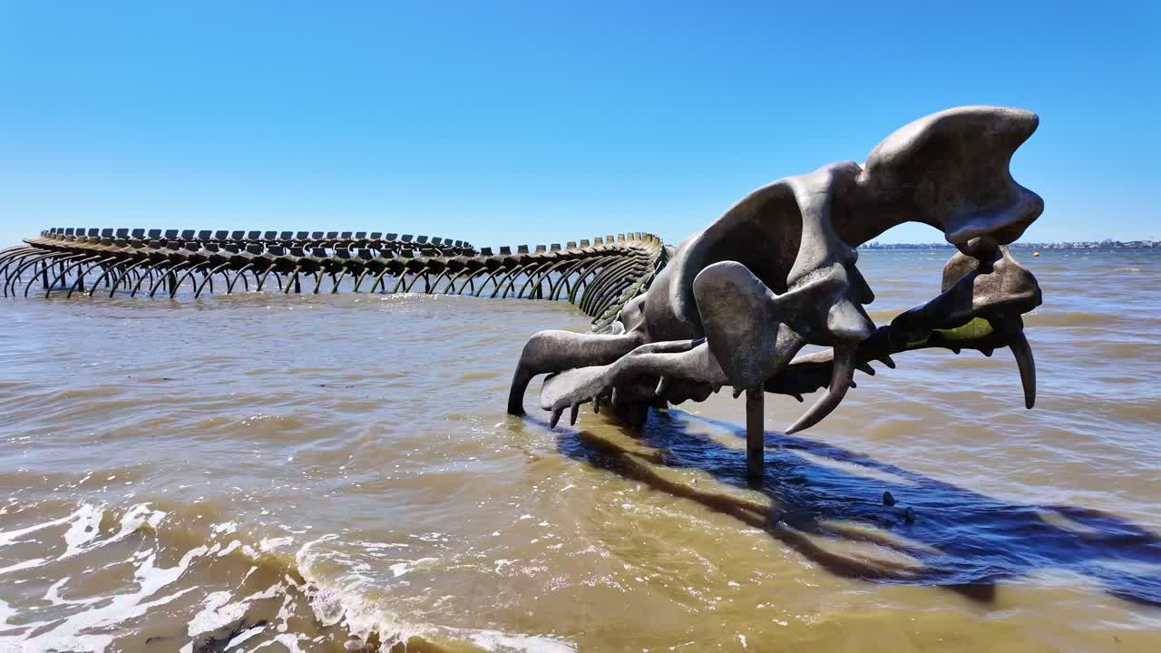 Serpent d'Océan or the long sea serpent skeleton or Serpent d'Océan, Saint-Brevin-les-Pins, France. First person view