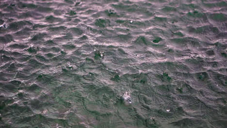 Gotas-De-Lluvia-Cayendo-Sobre-La-Superficie-Del-Agua,-Formando-Ondas