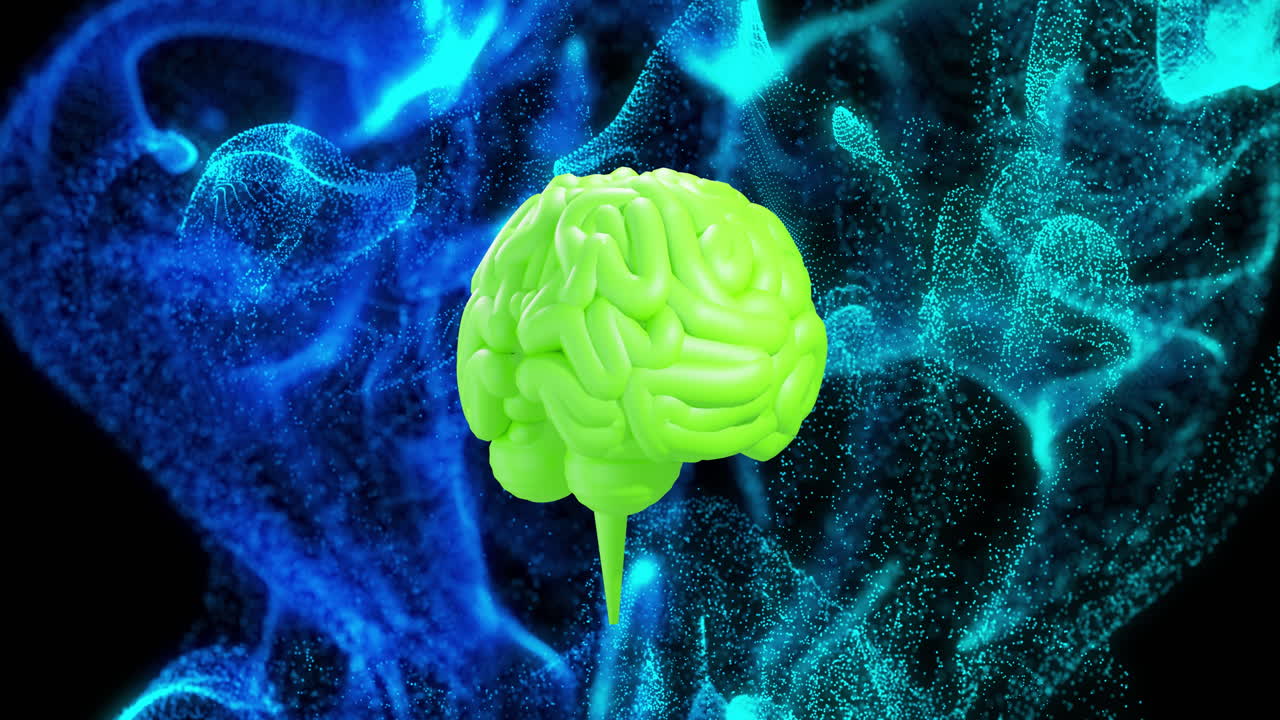 animación del cerebro digital girando sobre las manchas azules