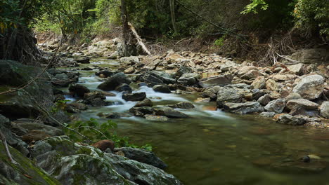 Ein-Bach,-Der-Durch-Die-Schatten-Des-Waldbodens-Fließt---Langzeitbelichtungszeitraffer