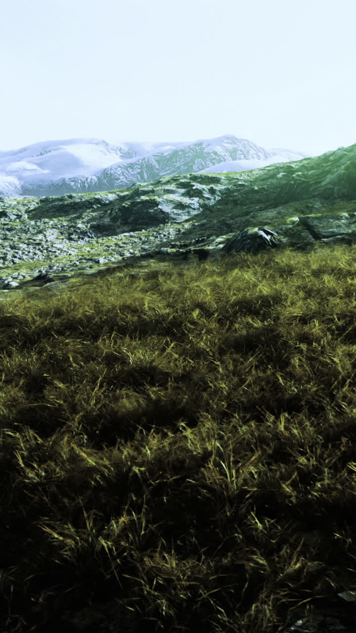 Vast green meadow stretches beneath majestic snow capped mountains